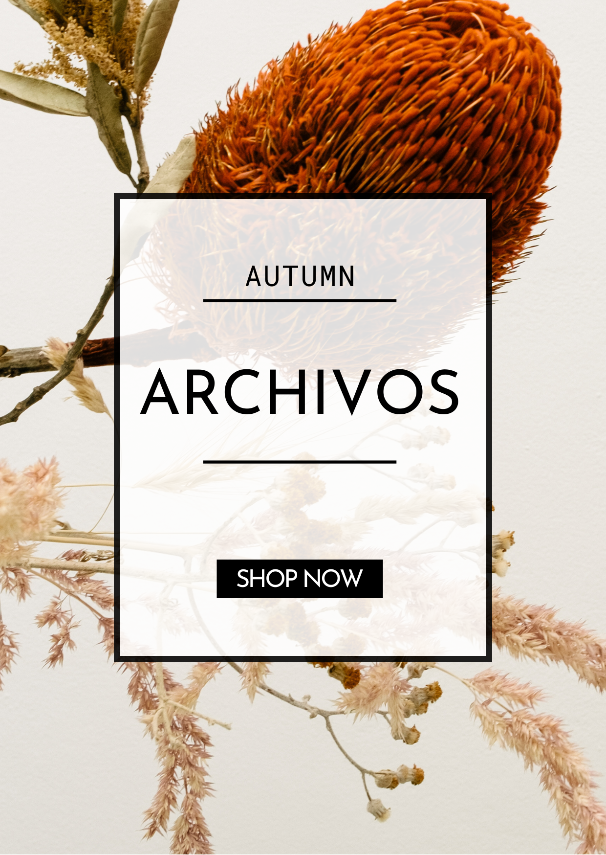 % AUTUMN